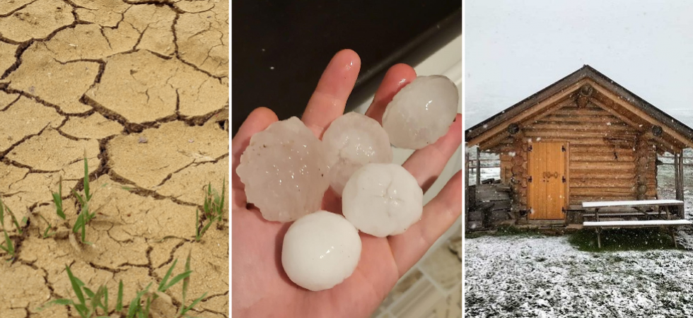 Dalla siccità alla grandine per Coldiretti è “allarme” nelle campagne